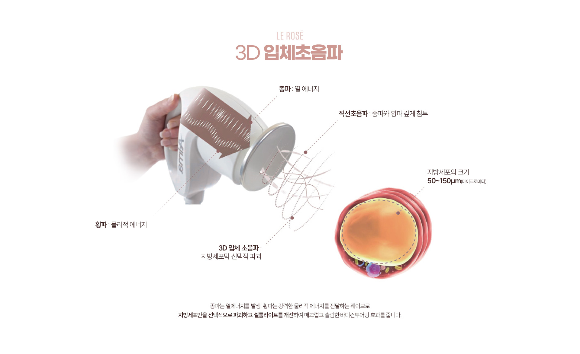 바디카밍튠 3D입체초음파