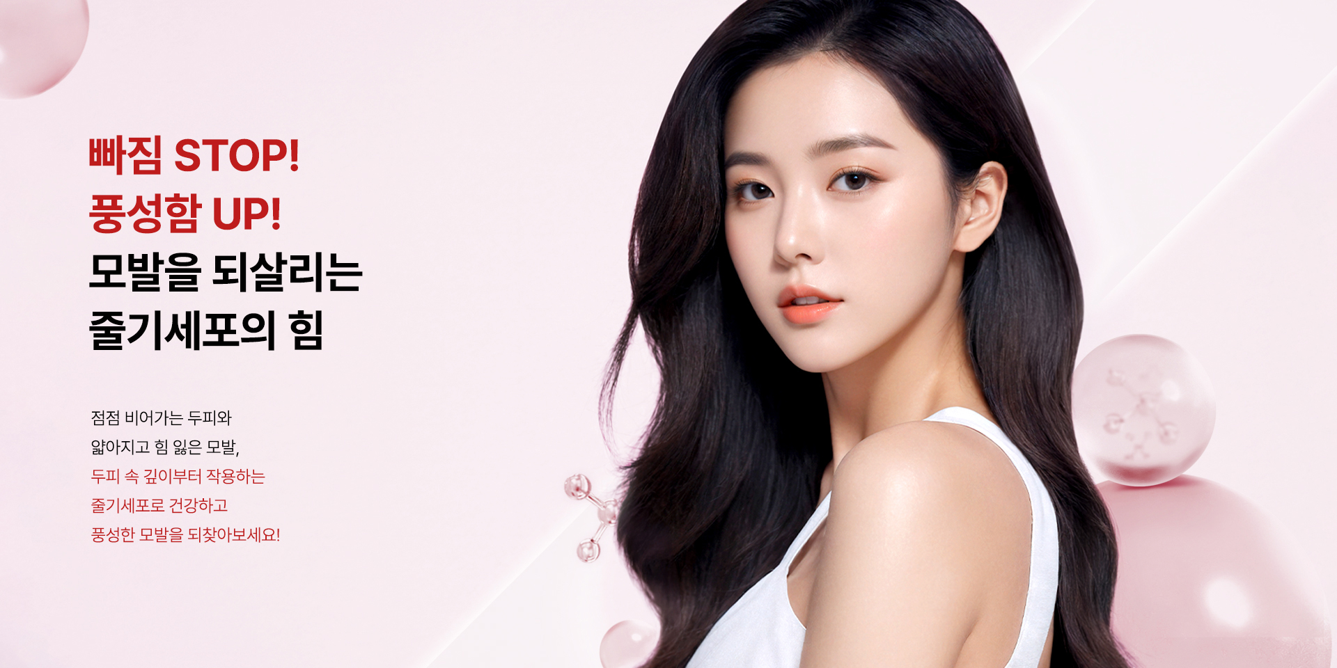 줄기세포 안티에이징