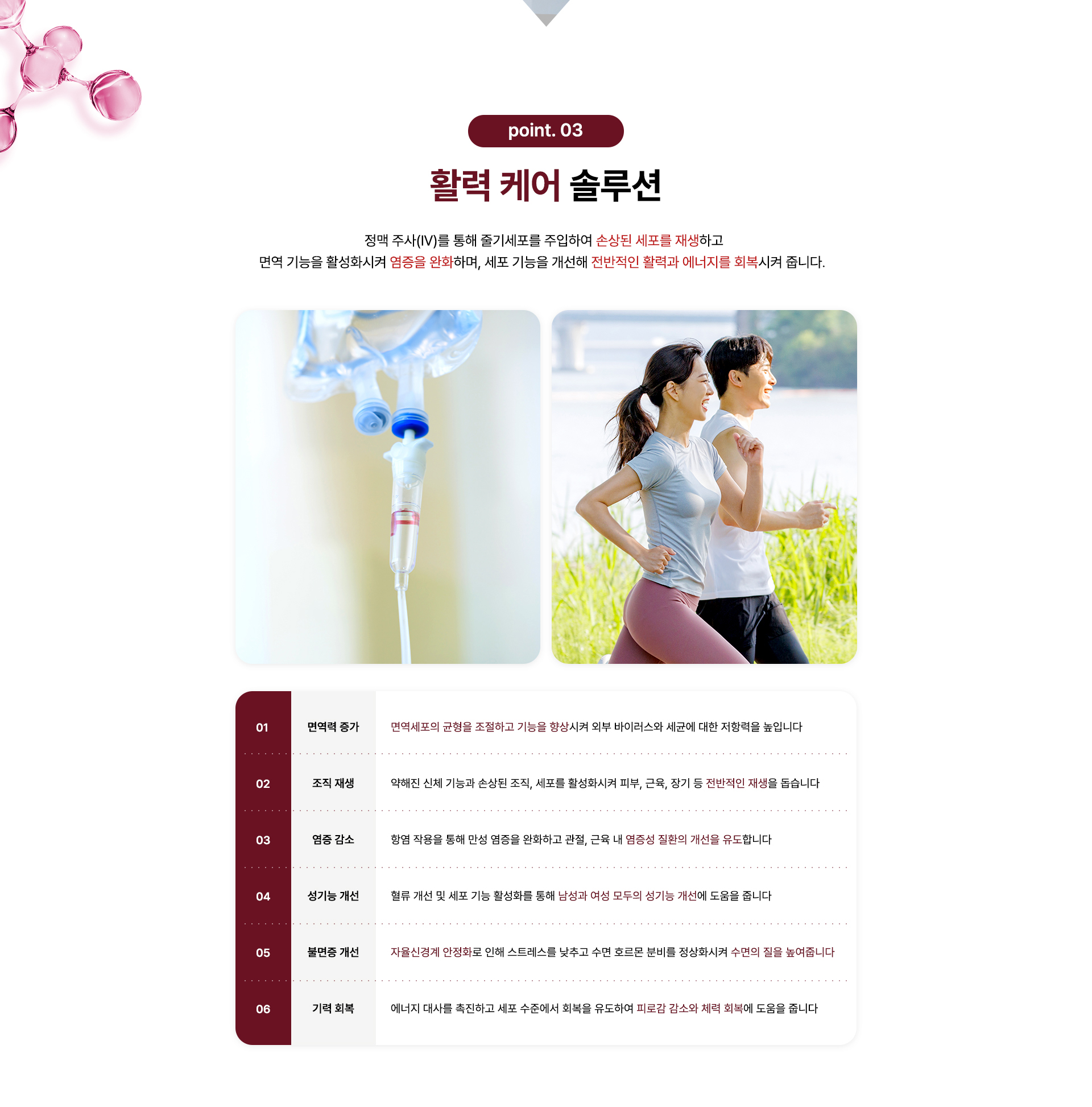줄기세포 안티에이징