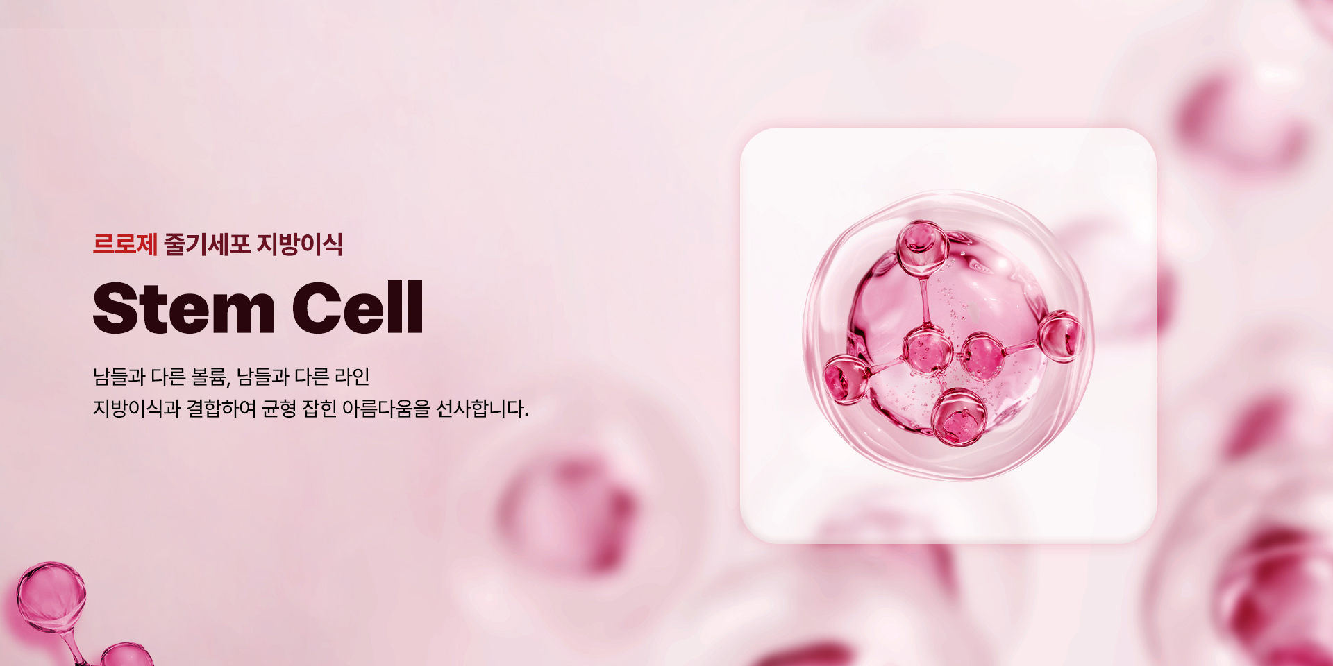 줄기세포 지방이식 키비주얼