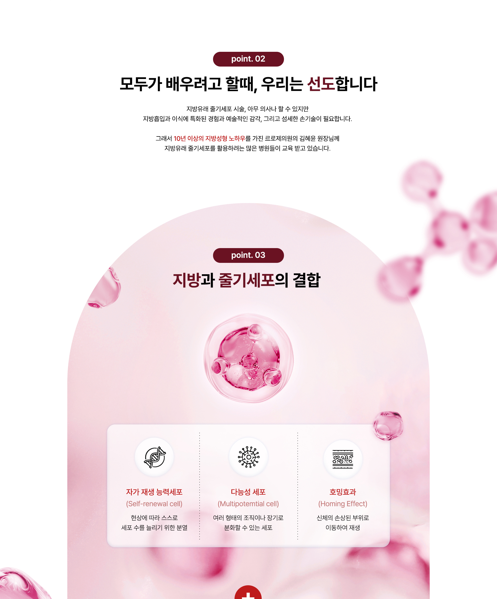 줄기세포 지방이식