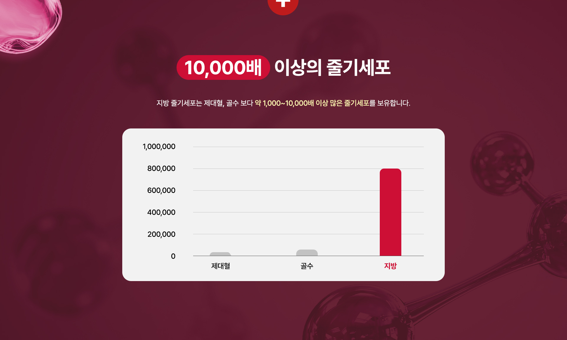 줄기세포 지방이식